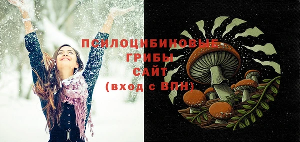 apvp Горнозаводск
