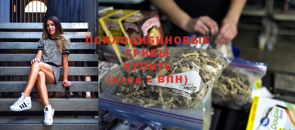 apvp Горнозаводск