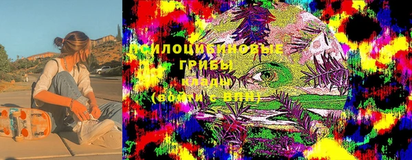 тгк Горняк