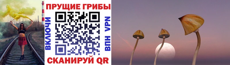 Галлюциногенные грибы мицелий  Купить где  Мантурово 